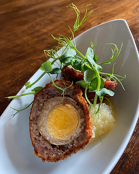 Scotch egg, in half in white dish. With apple sauce and pea shoots on top.